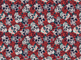 Day of the Dead Door Panel Trims - Shift Royal